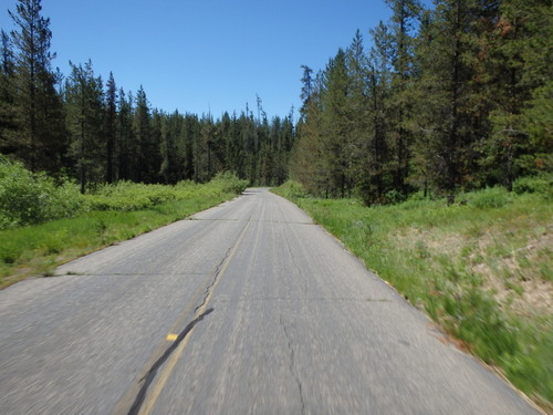 GDMBR: Riding through Targhee NF.